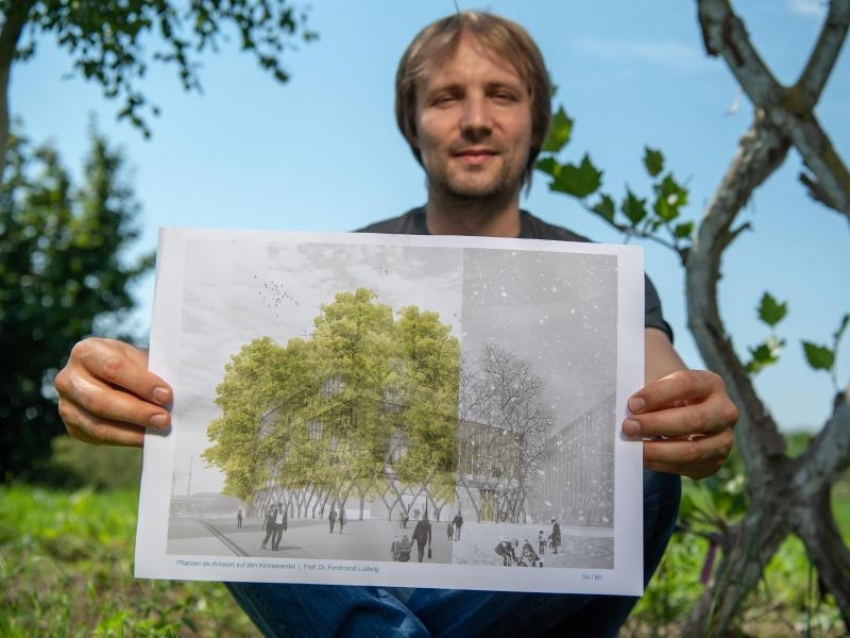 Professor Ferdinand Ludwig von der TU-Freising will Bäume und Architektur zusammenbringen. Um die Stämme für diesen Zweck stabiler zu machen, hat er die Bäume addiert. Foto: Peter Kneffel